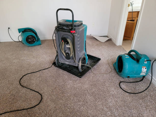 Professional Water damage restoration in Old Bethpage, NY