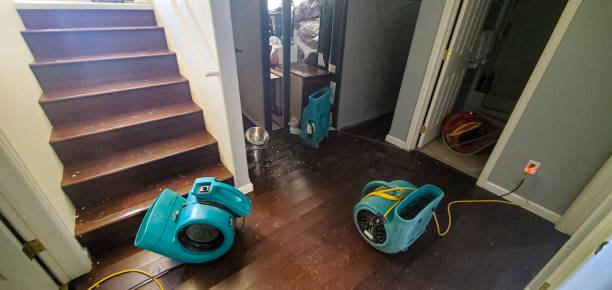 Best Fire Damage Restoration  in Old Bethpage, NY