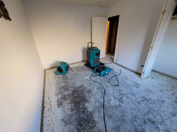 Water damage restoration experts in Old Bethpage, NY