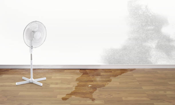 Water damage restoration mold remediation in Old Bethpage, NY