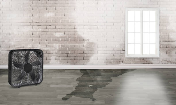 Best Water damage restoration mold remediation  in Old Bethpage, NY