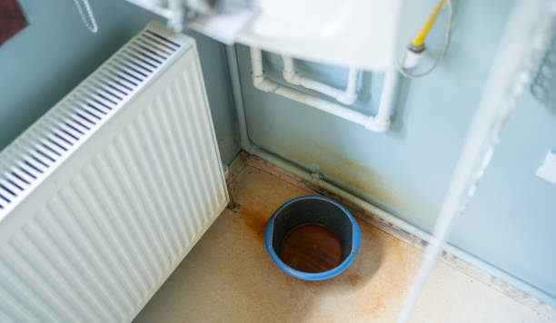 Best Flood damage cleanup  in Old Bethpage, NY