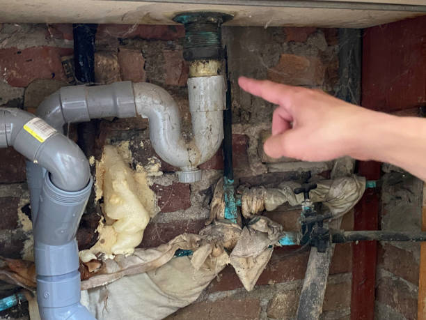 Best Water damage restoration specialists  in Old Bethpage, NY