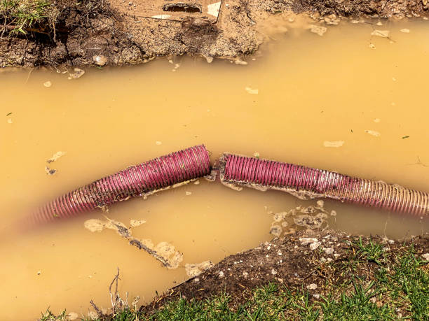 Best Sewage cleanup and water damage restoration  in Old Bethpage, NY